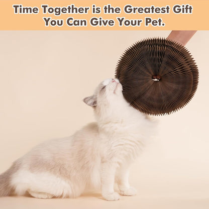 Planche à griffes de chat Magic Organ